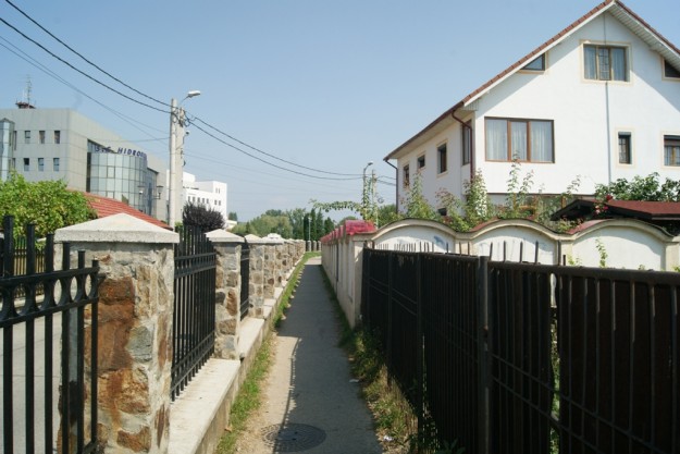 DSC08485