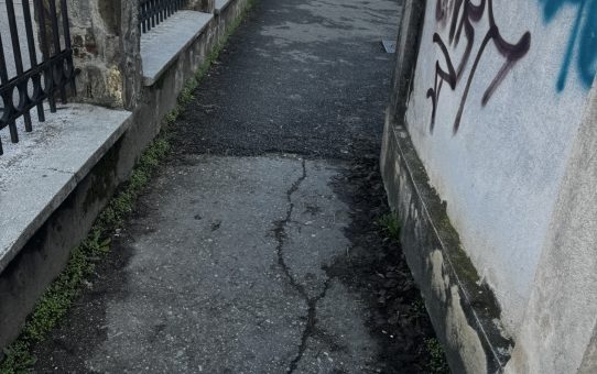 EXCLUSIV | Doctorul care se ruga la icoane să nu-l ia procurorii a „operat” și domeniul public. Aleea elevilor, închisă în curtea medicului Gheorghe Neață