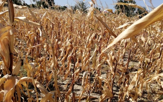 Gorjul devine deșert. Pompierii înlocuiesc rețeaua de apă, în timp ce autoritățile neagă dezastrul