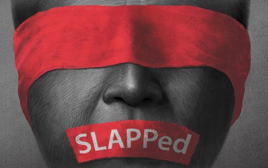 Alertă europeană de hărțuire în justiție pentru jurnalista Brîndușa Armanca și PRESSHUB