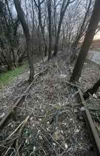 DEZASTRUL DE LA UM SADU: Cum s-au „topit” 20 de milioane de euro din buzunarele muncitorilor. Pădurea de pe calea ferată și umilința de la Bumbești-Jiu