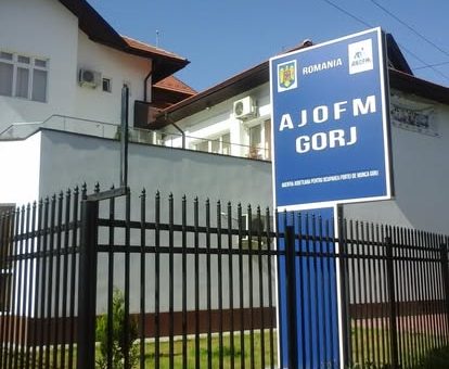 Industria „pazei de stat”: Cum au fost pompate milioane de euro în firmele de securitate din Gorj prin „bucla” celor 30 de zile